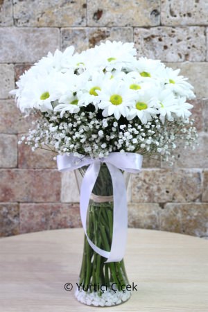White Daisy in a Vase