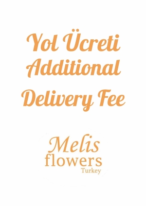 Additional Delivery Fee