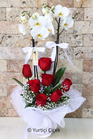 White Orchid and 7 Red Roses