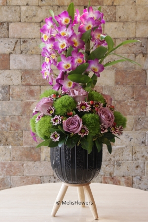 Dendrobium Orchid and Roses